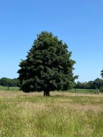 Frauenpilgern 2025008